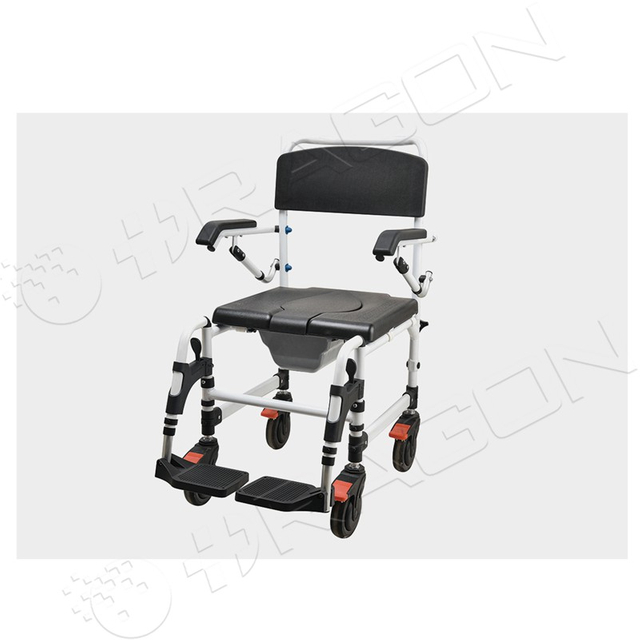 Sedia da toilette DW-CC19