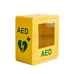 Armoire DAE murale AED-SC02